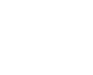Alita Polymer